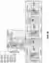 Fig. 32 - PREPARATION DEVICE AND PREPARATION METHOD FOR EXOSOME LIQUID BIOPSY SAMPLE AND METHOD FOR ANALYZING EXOSOME LIQUID BIOPSY SAMPLE PREPARED THEREBY