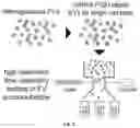 Fig. 03 - SORTING CELL-TYPE SPECIFIC EXTRACELLULAR VESICLES