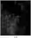 Fig. 05 - SORTING CELL-TYPE SPECIFIC EXTRACELLULAR VESICLES
