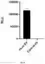 Fig. 08 - SORTING CELL-TYPE SPECIFIC EXTRACELLULAR VESICLES