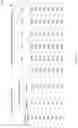 Fig. 20 - DETECTING MUTATIONS FOR CANCER SCREENING