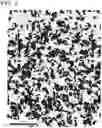 Fig. 03 - Hot-stamping formed body