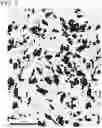 Fig. 04 - Hot-stamping formed body
