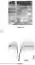 Fig. 12 - A METHOD OF FORMING A DIAMOND COATING ON A CARBON MATERIAL
