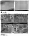 Fig. 04 - W18O49/CoO/NF self-supporting electrocatalytic material and preparation method thereof