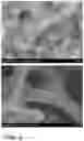 Fig. 03 - W18O49/CoO/CoWO4/NF self-supporting electrocatalytic material and preparation method thereof