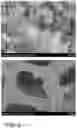 Fig. 06 - W18O49/CoO/CoWO4/NF self-supporting electrocatalytic material and preparation method thereof