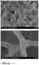 Fig. 07 - W18O49/CoO/CoWO4/NF self-supporting electrocatalytic material and preparation method thereof