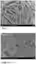 Fig. 08 - W18O49/CoO/CoWO4/NF self-supporting electrocatalytic material and preparation method thereof