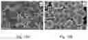 Fig. 08 - Electrolyte for chromium deposition from Cr(III)-compounds