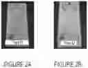 Fig. 03 - Methods and Compositions for Improved Adherence of Organic Coatings to Materials