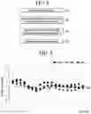 Fig. 07 - Single crystal ingot growth control device