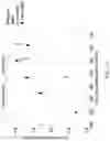 Fig. 20 - Methods of generating highly-crystalline recombinant spider silk protein fibers