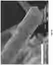 Fig. 05 - Thermal insulation