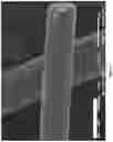 Fig. 06 - Thermal insulation