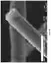 Fig. 08 - Thermal insulation