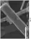 Fig. 09 - Thermal insulation