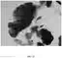 Fig. 12 - Systems and methods for dewatering and drying nanocellulose