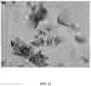 Fig. 13 - Systems and methods for dewatering and drying nanocellulose