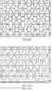 Fig. 02 - Horizontal mechanically stabilizing geogrid with improved geotechnical interaction