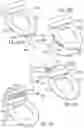 Fig. 57 - Clean toilet and accessories
