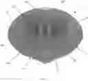 Fig. 06 - Post hole cover