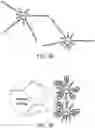 Fig. 04 - Nanoparticle-based shear-thickening materials
