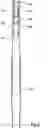 Fig. 14 - SHIFTING TOOL AND ASSOCIATED METHODS FOR OPERATING DOWNHOLE VALVES