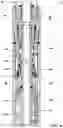 Fig. 24 - SHIFTING TOOL AND ASSOCIATED METHODS FOR OPERATING DOWNHOLE VALVES