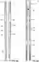 Fig. 26 - SHIFTING TOOL AND ASSOCIATED METHODS FOR OPERATING DOWNHOLE VALVES