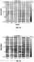 Fig. 07 - Deep learning methods for enhancing borehole images