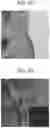 Fig. 07 - Combustion system