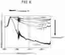 Fig. 12 - Combustion system