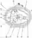 Fig. 07 - SINGLE CHAMBER MULTIPLE INDEPENDENT CONTOUR ROTARY MACHINE