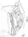 Fig. 02 - Vacuum-source adapter for administering a cleaning fluid