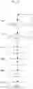Fig. 05 - Determining a drift in the fuel static flow rate of a piezoelectric injector of a motor vehicle heat engine