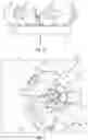 Fig. 04 - DIESEL DUCTED FUEL INJECTOR