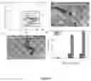 Fig. 07 - Metal hydroxides based actuator with polymeric supporting film