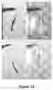 Fig. 09 - Metal hydroxides based actuator with polymeric supporting film
