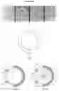 Fig. 02 - Method for packing rolling elements in bearing, and use thereof