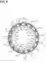 Fig. 07 - Clutch device