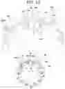 Fig. 11 - Clutch assembly structure