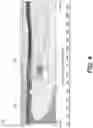 Fig. 05 - Clear obelisk projector shield