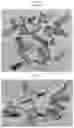 Fig. 07 - Wadding system