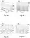 Fig. 06 - Multi-pixel spectral sensor