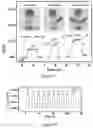 Fig. 07 - Low hysteresis and flexible pressure sensitive composite