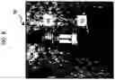 Fig. 07 - Method and apparatus for acoustically detecting fluid leaks