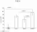 Fig. 05 - TRANSPARENT SKIN SAMPLE