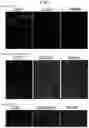 Fig. 07 - TRANSPARENT SKIN SAMPLE