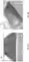 Fig. 19 - Nanosensors and use thereof